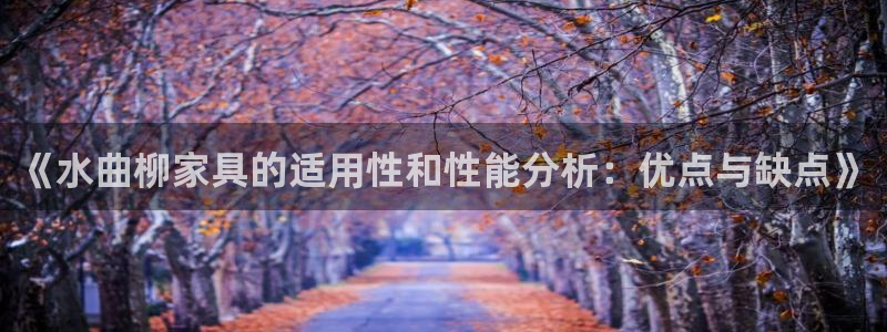 安信12专用挂机