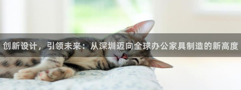 安信娱乐12登录地址