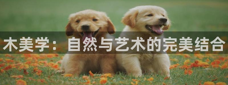 安信证券 12位