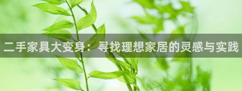 安信12平台介绍