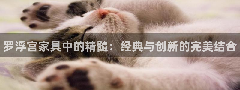 安信12官方下载：罗浮宫家具中的精髓：经典与创新的完美结合