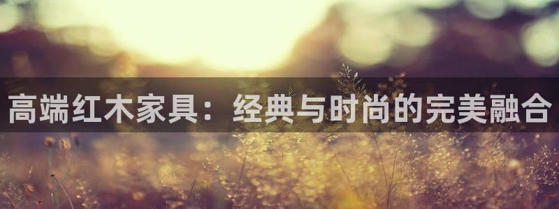 安信12是什么软件