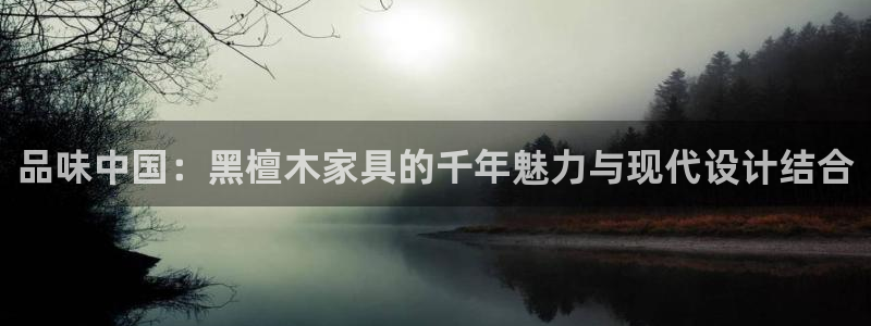 安信12月金股