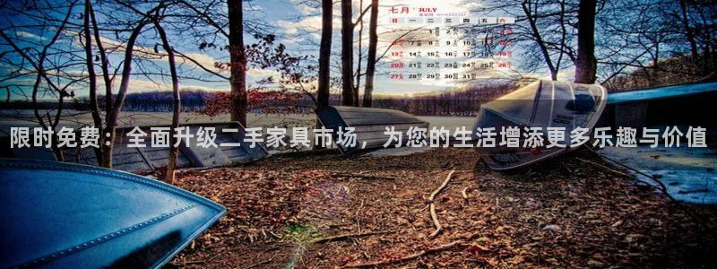 安信安盈12最新消息