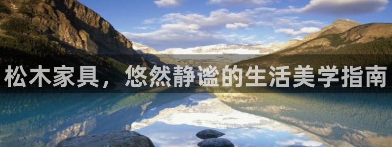 安信证券手机壳12