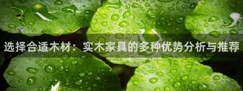 安信信托12 期