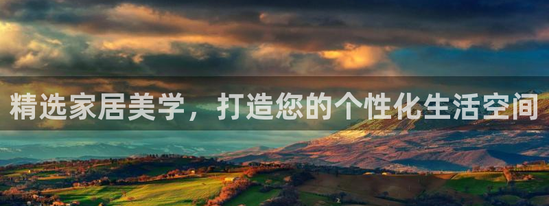 安信安翼 12账号