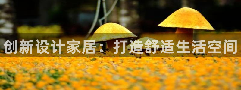 安信12平台官网：创新设计家居：打造舒适生活空间
