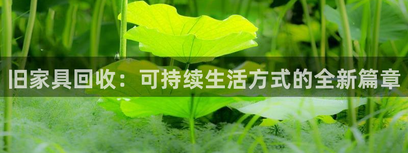 安信12挂机