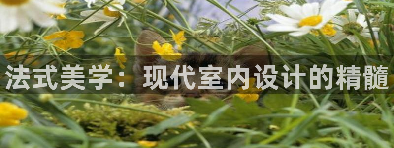 安信12级大众