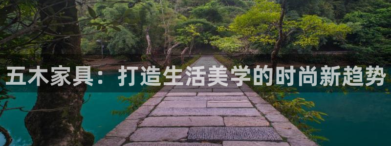 安信可12f12e：五木家具：打造生活美学的时尚新趋势