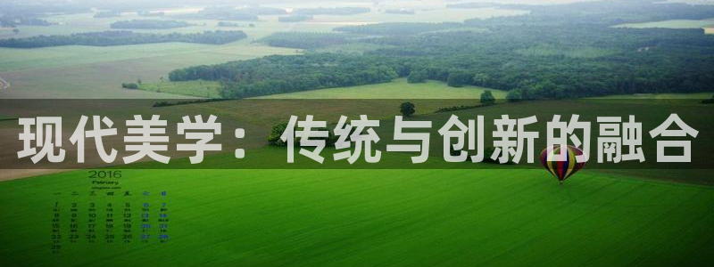 安信证券手机壳12