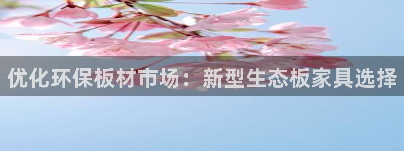 安信12挂机