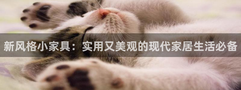 安信证券 12位：新风格小家具：实用又美观的现代家居生活必备