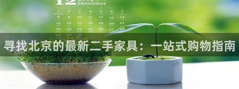 安信12软件介绍