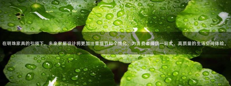 安信可wb12
