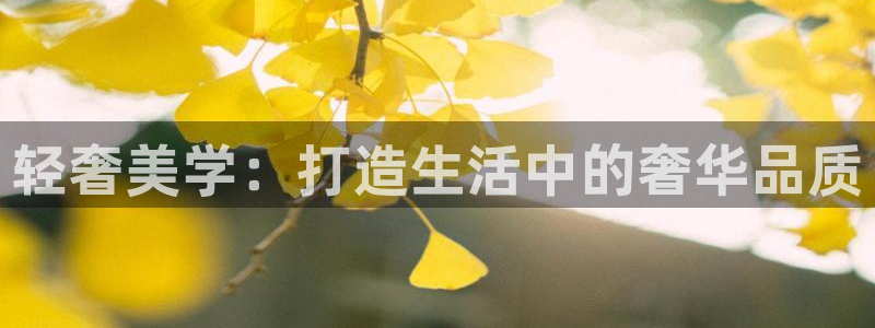 安信12位资金账号：轻奢美学：打造生活中的奢华品质