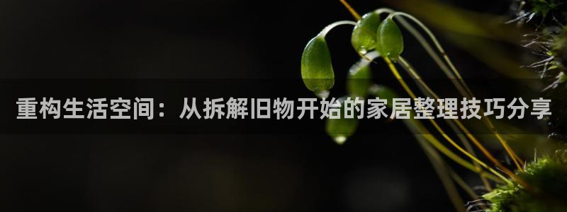 安信12官网