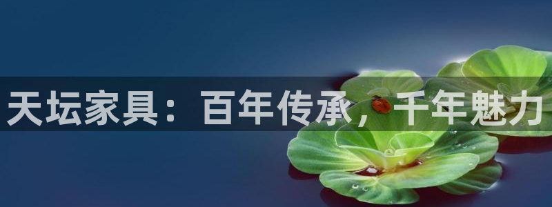 安信4特邀55 12
