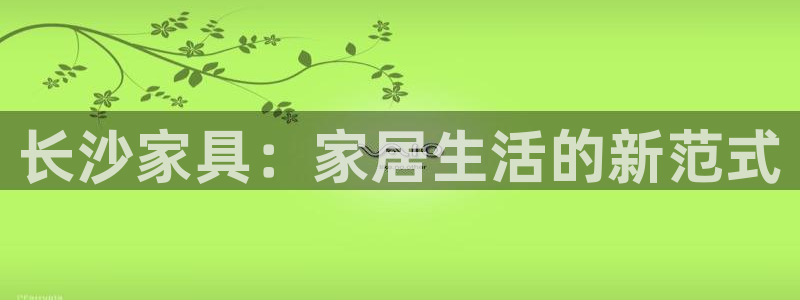 安信证券手机壳12