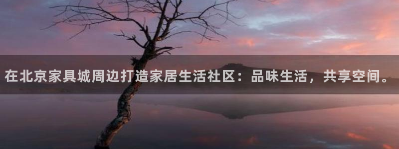 安信安翼 12账号