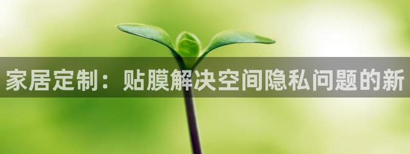 安信锐赢134号12月