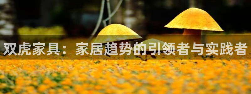 安信12注册咋7O777