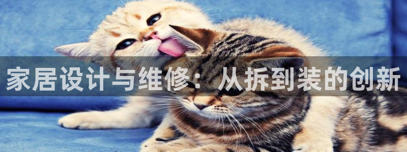 安信4娱乐去55 12