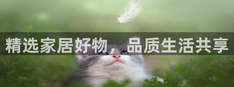 安信12专用挂机