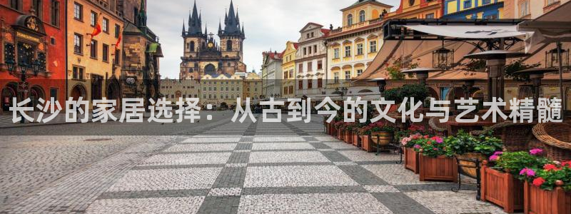 安信证券手机壳12