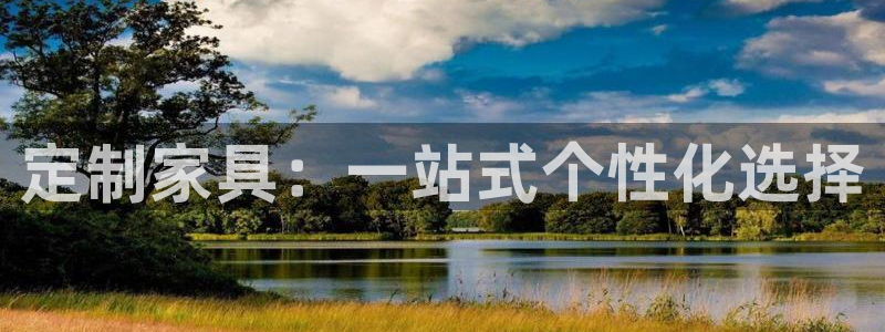 安信12是什么软件