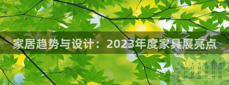 安信12是正规还是仿