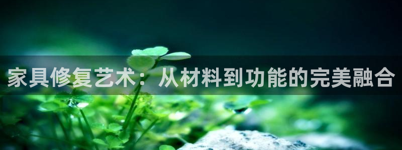 安信122853179Z空间：家具修复艺术：从材料到功能的完