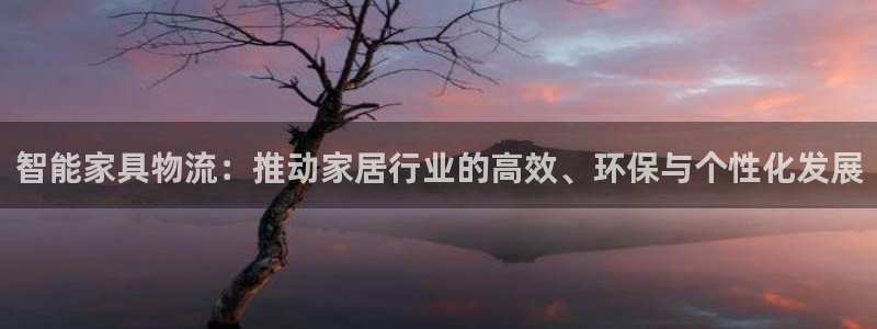 安信4娱乐去55 12