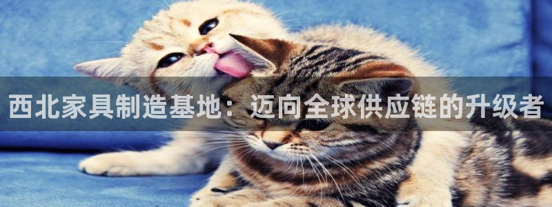 信安杯12：西北家具制造基地：迈向全球供应链的升级者