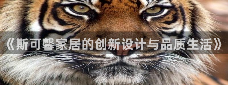 安信12是什么软件