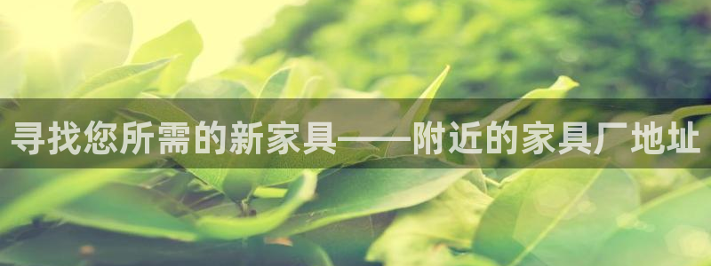 安信证券手机壳12