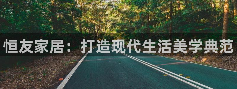 安信12代理：恒友家居：打造现代生活美学典范