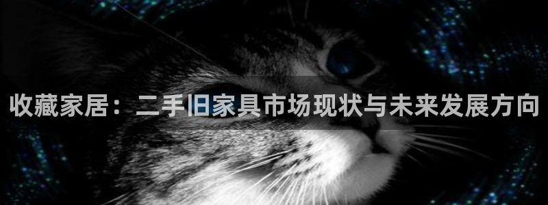 安信可12e12f