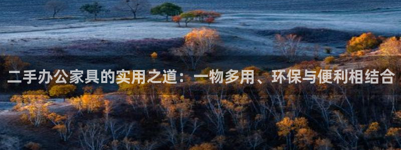 安信12级粉丝团福利