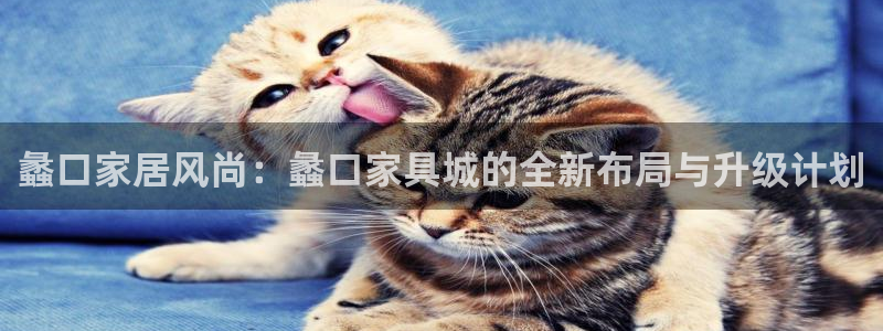 安信12