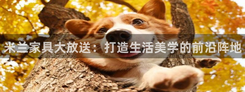 安信12娱乐登录网页