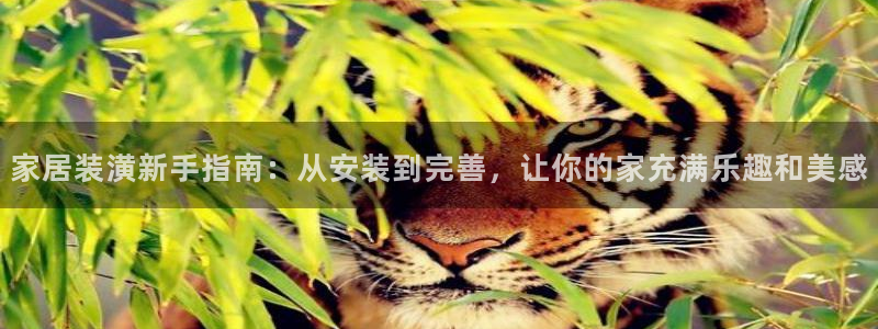 安信12娱乐招商