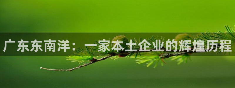 安信12登录
