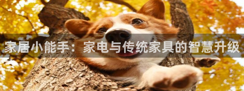 安信可esp-12