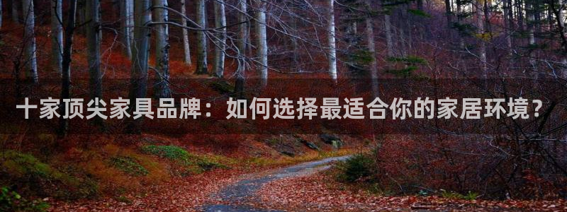 安信12彩票app下载
